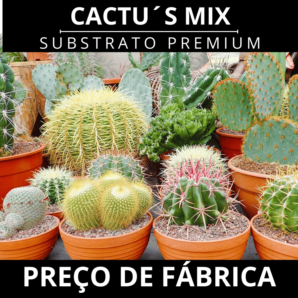 Substrato para Cactos e Suculentas Pronto para Uso 2kg 4kg 6kg Plantas Saudáveis Franco Garden