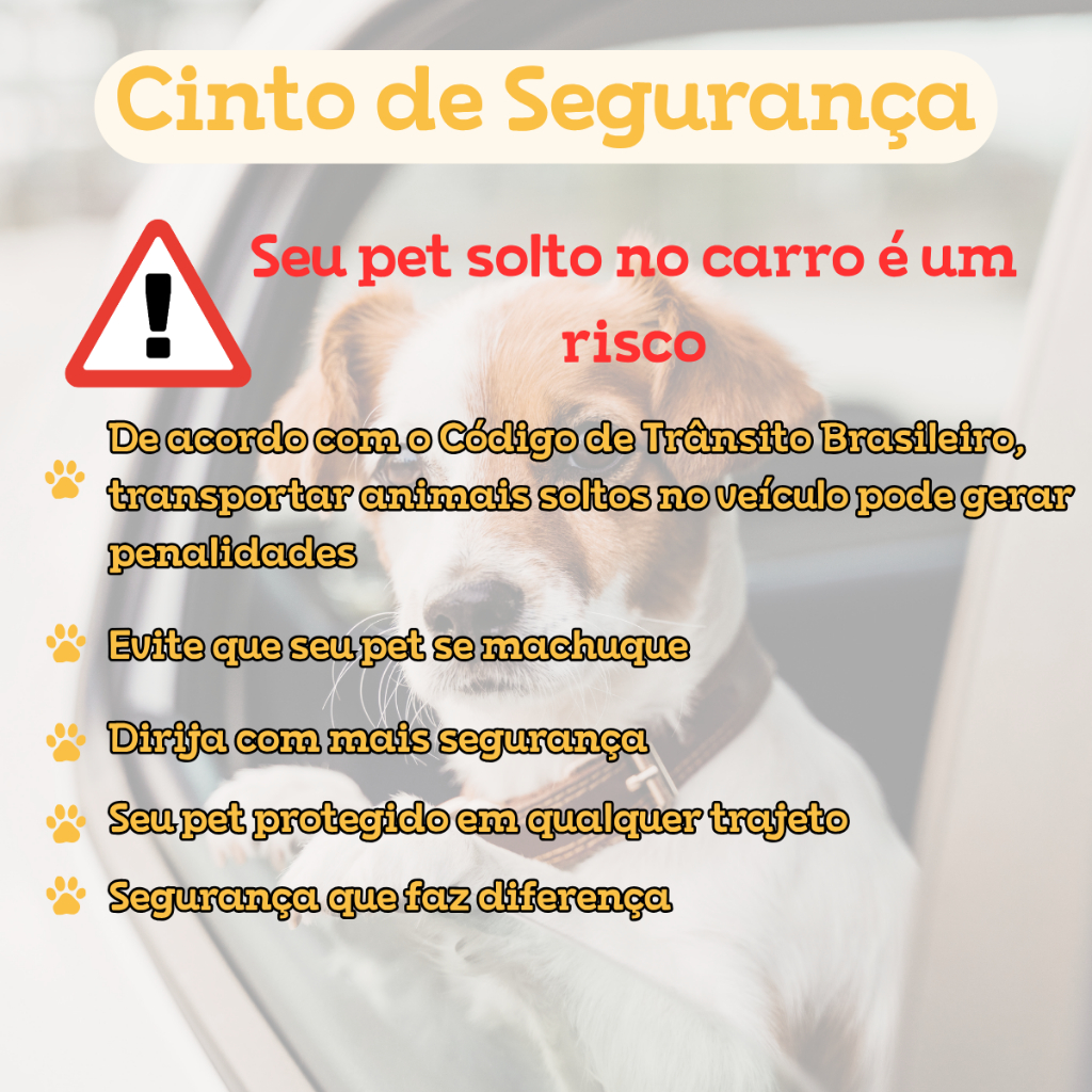 Kit Completo Pet Peitoral H + Guia + Cinto de Segurança Carro Conforto e Proteção Ajustável Azul e Verde — imagem 2 de 2