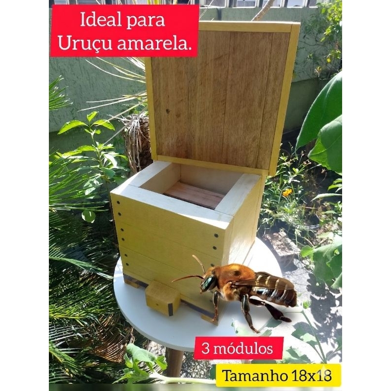 Caixa modelo Inpa para abelhas Bugia/Uruçu amarela, 18x18, madeira caxeta e eucalipto 4cm esp, 3 módulos.