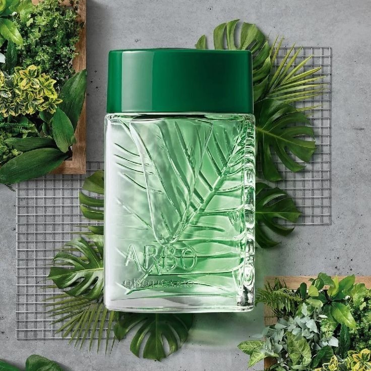 Perfume Arbo Masculino 100ml EDT Alta Procura