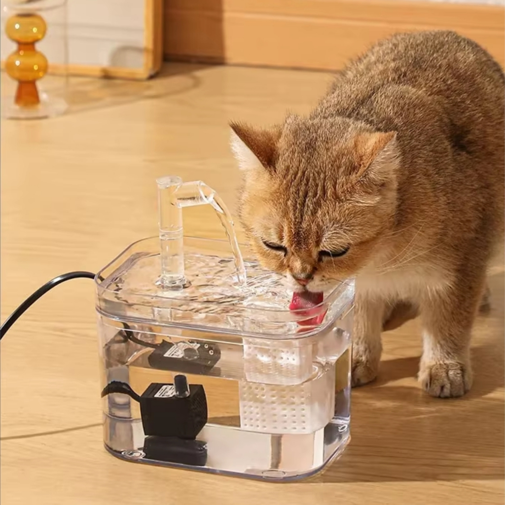 Bebedouro Automático Fonte Gatos Purificador De Água Filtro USB Cães Base