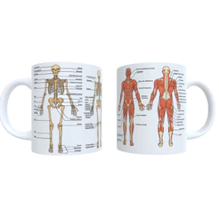 Caneca Medicina Anatomia Sistema Esquelético e Muscular 325 ml Porcelana