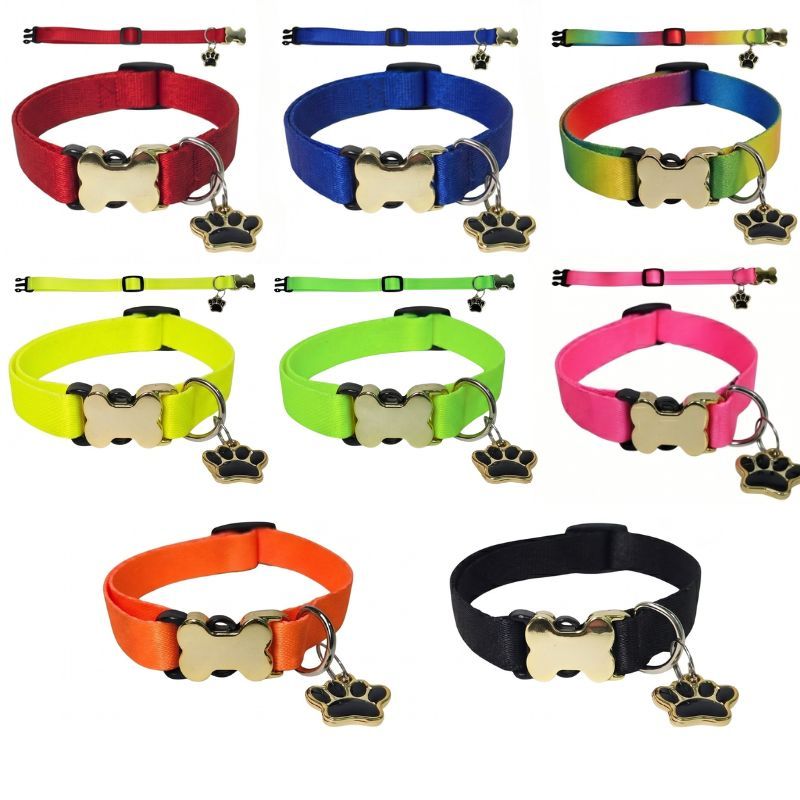Coleira Luxo Ajustável Para Cachorro Com Pingente de Cor Sortida Formato de Patinha Pet - Brie Pet
