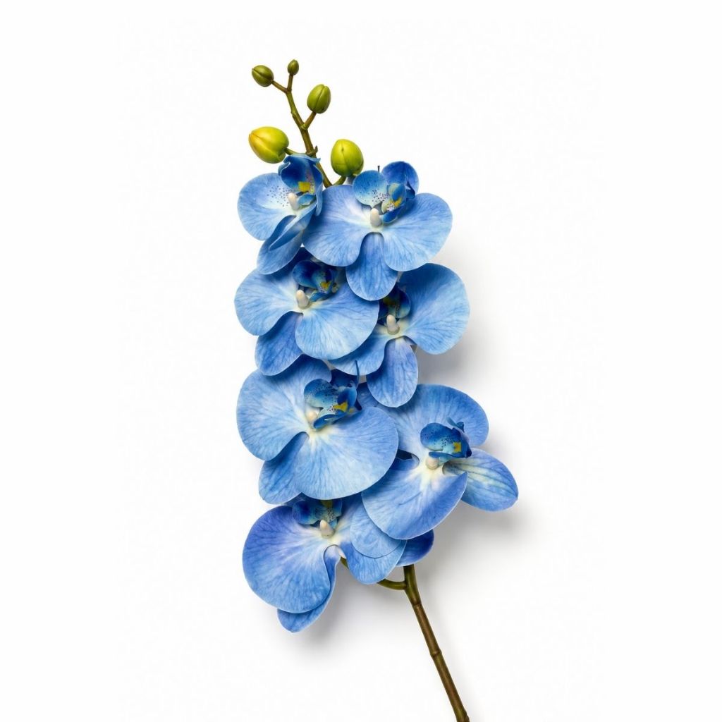 1 Orquidea Artificial Silicone 3d Haste Flexivel Parece Real Decoração Mesa de Centro Jantar · foto 2