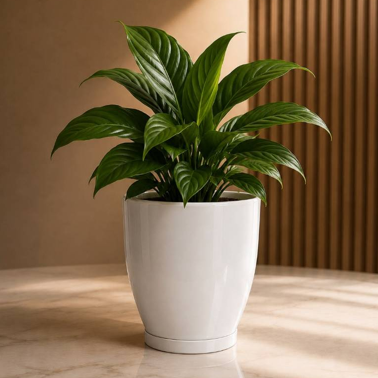 Vaso para Plantas Decorativo 32cm polido com Prato | Vaso Moderno para Sala Jardim Varanda Decoração