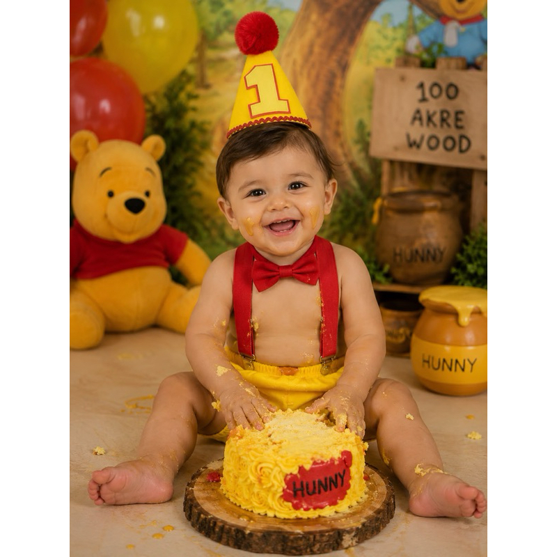 Fantasia smash the cake Ursinho Pooh