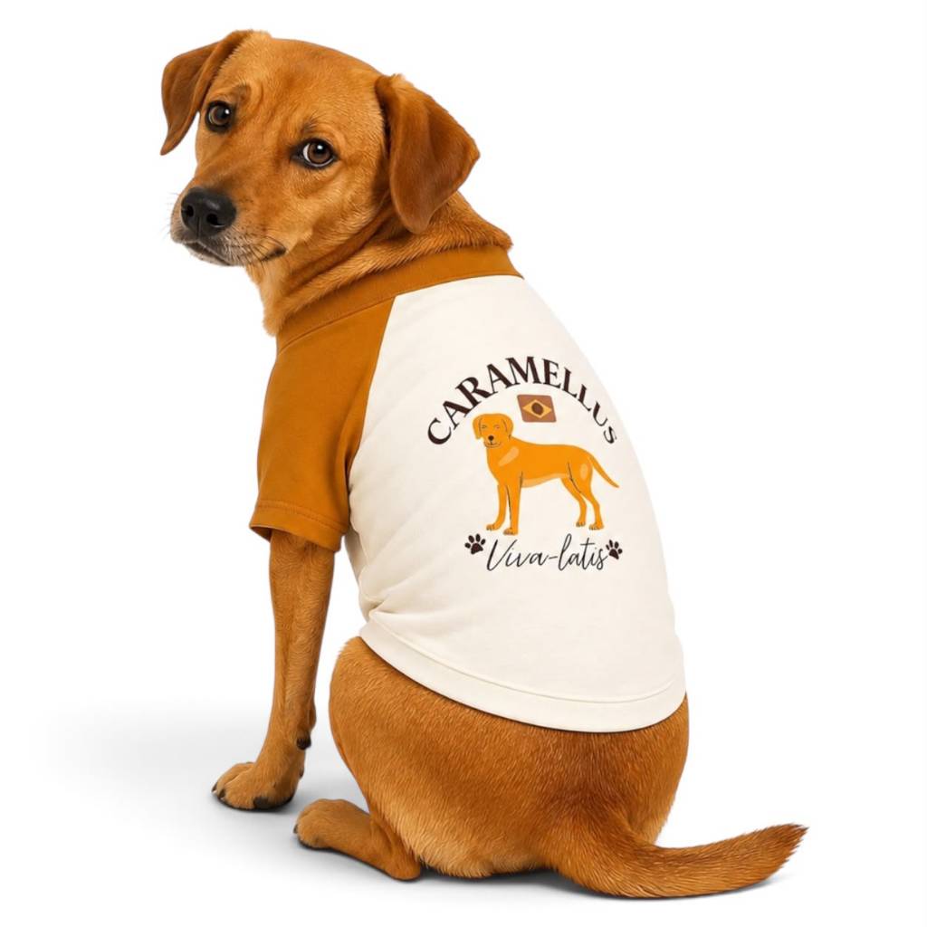 Camiseta Pet Raglan Estampada Roupa para Cachorro Vira Lata Caramelo e Gato Star Wars