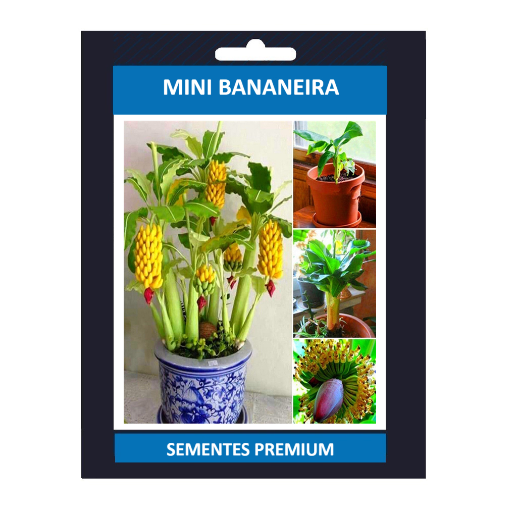 PROMOÇÃO PROMOÇÃO 100 Sementes De Mini Bananeira Comestível Bonsai Menor Frete rápido L9 ll Premium + MANUAL DE CULTIVO