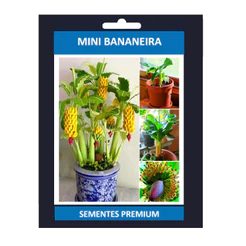 PROMOÇÃO PROMOÇÃO 100 Sementes De Mini Bananeira Comestível Bonsai Menor Frete rápido L9 ll Premium + MANUAL DE CULTIVO
