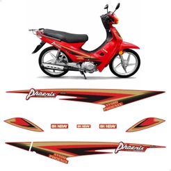 Kit Adesivos Para Shineray Phoenix Xy50q Gold Moto Vermelha