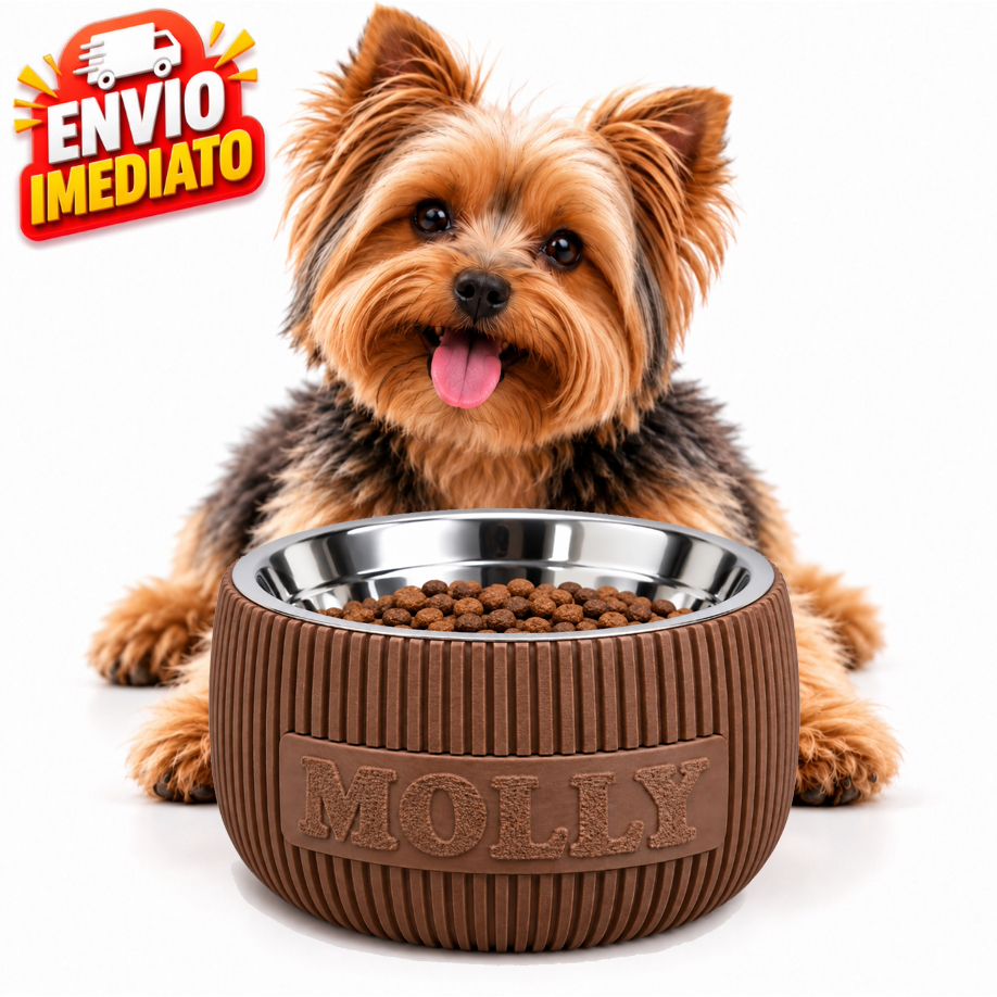Comedouro Pet Elevado com nome Personalizado Cachorro Gato Bebedouro Tigela Inox Ração Água Antivômito Premium