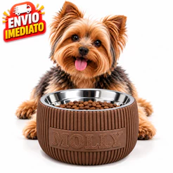Comedouro Pet Elevado com nome Personalizado Cachorro Gato Bebedouro Tigela Inox Ração Água Antivômito Premium