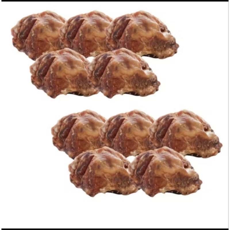 Kit 5 petisco cachorro osso mordedor natural pet caes rotula bovina desidratada  ,ideal para Pet de todos os portes