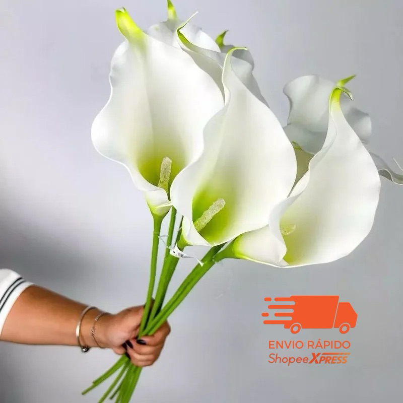 Copo de Leite Artificial Lírio D'água de Caule Longo Grande Toque Real p/ Decoração - HS800186 em Oferta na Shopee