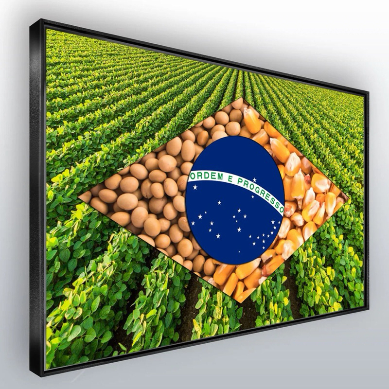 Quadro Bandeira Brasil Agro Fazenda