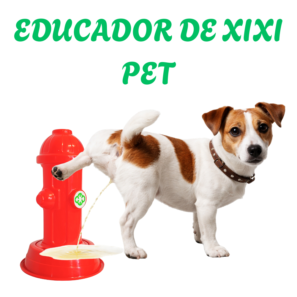 Hidrante sanitário Postinho educador  com base coletora xixi para cães