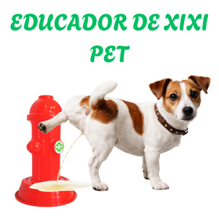 Hidrante sanitário Postinho educador  com base coletora xixi para cães em Oferta na Shopee