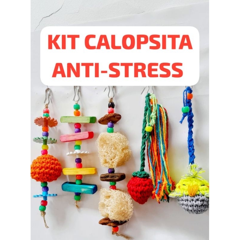 Kit 5 Brinquedos Calopsita Periquito RingNeck e Agaponis Pêndulo Antiestres Calopsita Acessórios Natural Aves Pássaros