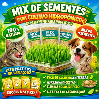Sementes Graminha para Gatos Hidropônico Mix Aveia Trigo Azevém Milheto Natural em Oferta na Shopee