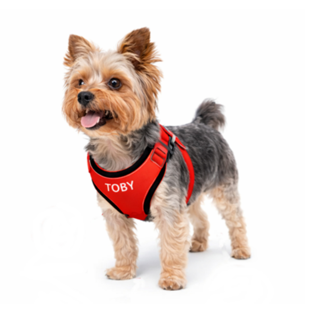 Coleira peitoral com nome cachorro gato acompanha guia confortável