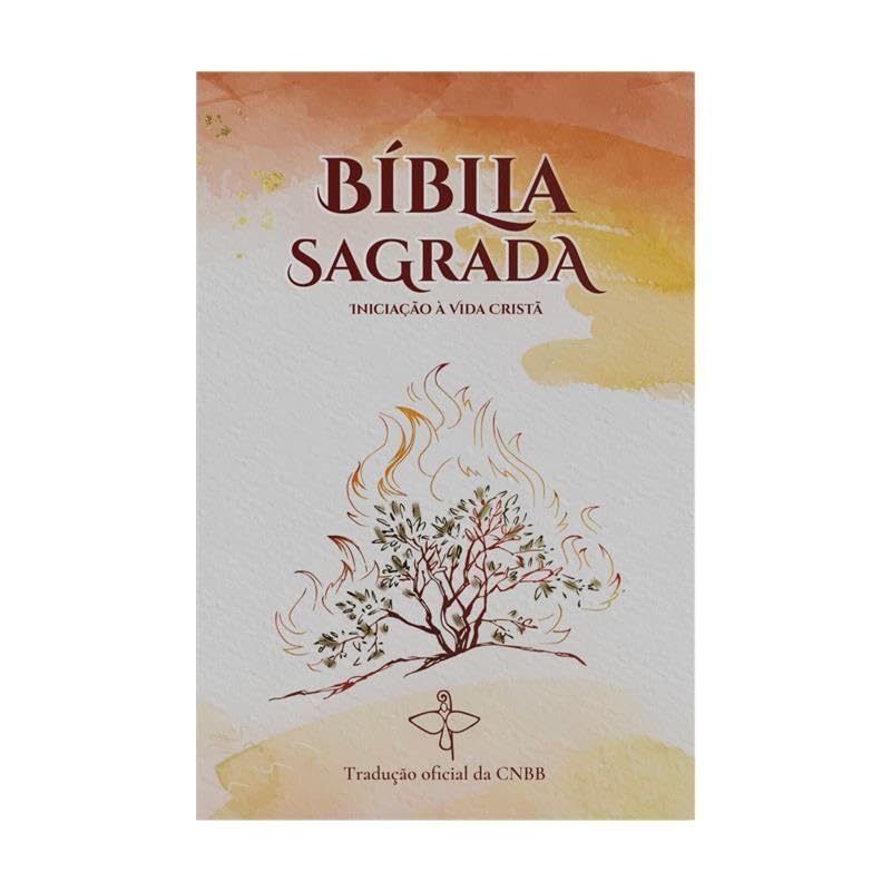 Bíblia Sagrada iniciação à vida cristã: Novo Design - Dia das Mães