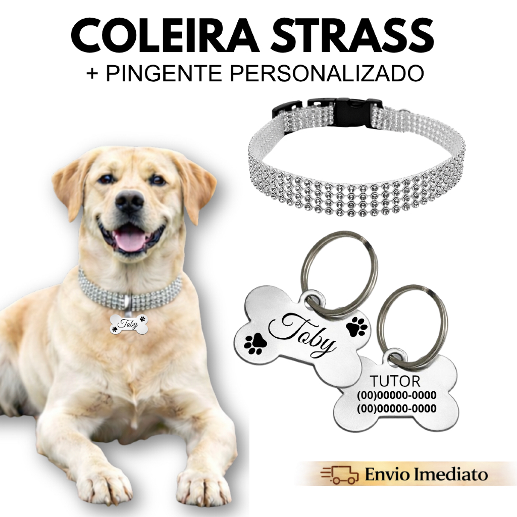Kit Coleira Pet Cachorro Plaquinha Personalizada Nome Telefone Identificação Strass Pingente Acessórios