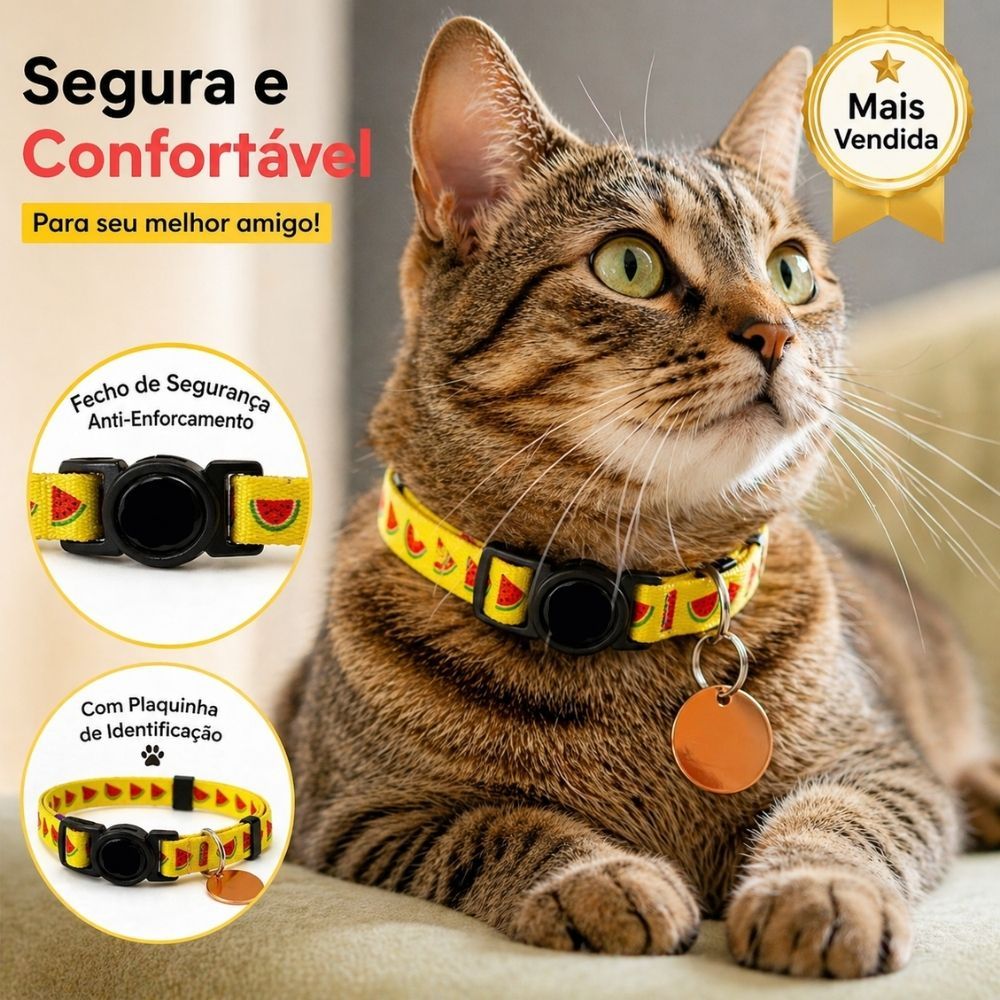 Coleira para gato: 6 achadinhos que valem o clique