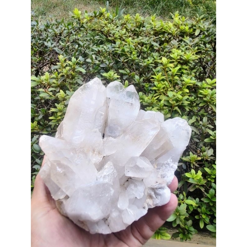 Cristal branco,Drusa, Coleção, pinha de 1700 Gr,16 cm largura,14 cm altura.Rara