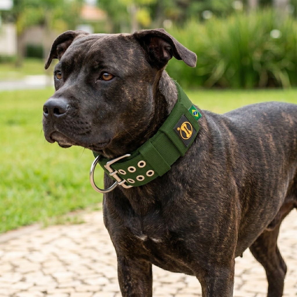 Coleira Verde Musgo Cachorro Grande Pitbull Militar K9 cane Corso  Dobermann Passeio Adestramento