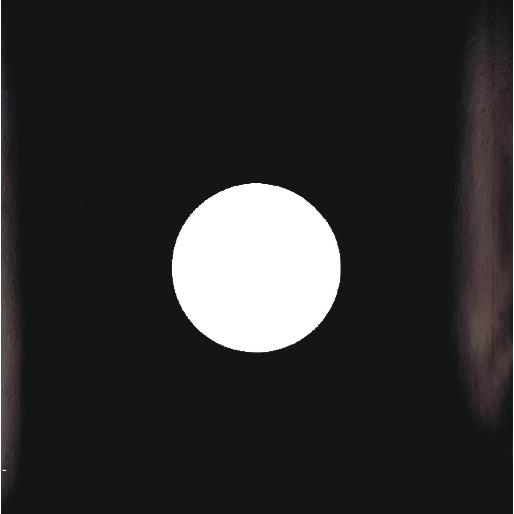10 capas para "12" polegadas vinil disco sacos + 10 plásticos internos totalmente gratuíto