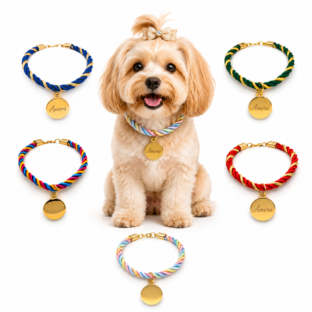 Coleira Pingente Pet Luxo Personalizado Plaquinha Delicada Identificação Tag Nome Cachorro Fofo