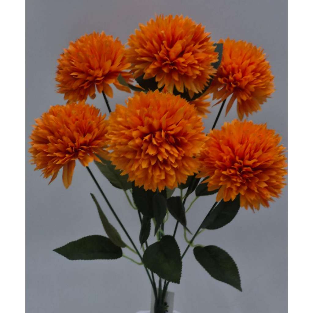 Cravo Com 5 Flores