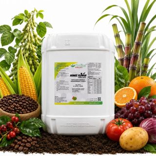 Fertilizante Turfa Gold - Codipa Fertilizantes - 20l Fertilizante Líquido Adubo