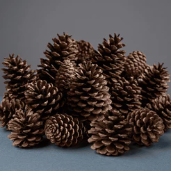Kit Pinha Natural para Enfeite Decoração Árvore de Natal e Artesanato Guirlanda Pendente Natalino
