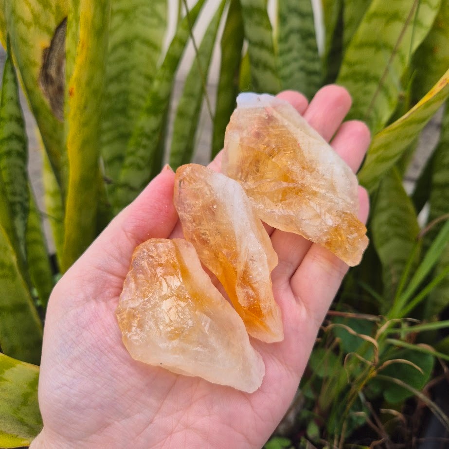 Citrino Amarelo Queimado Pedra Bruta Sucesso Prosperidade Chakras Reiki Energia Vitti