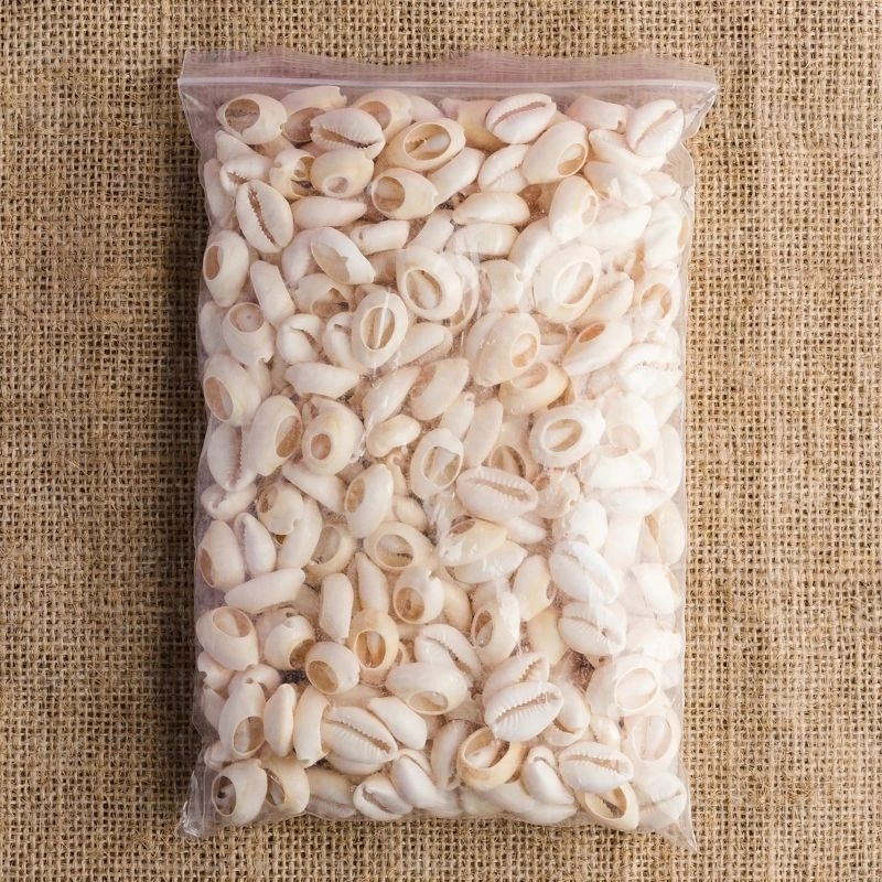 Búzios Naturais | Pacotes com 200g ou 500g | Cortados e Abertos Para Artesanato | Bijuterias | Guias | brajás | DIY |