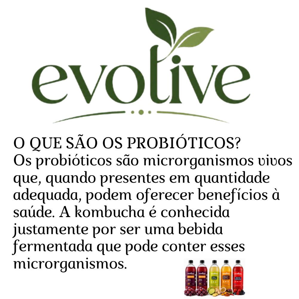 Evolive Bebida Fermentada Probiótica Kombucha — imagem 2 de 2