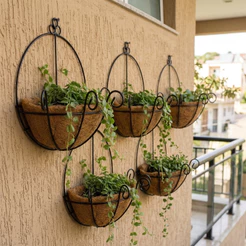 5 Vasos de Parede de Fibra de Coco 30cm de Plantas Meio Vaso