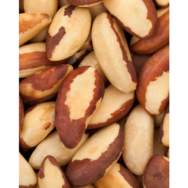 O que é Castanha do Pará Inteira? Guia e Onde Comprar | BuscaProdutos