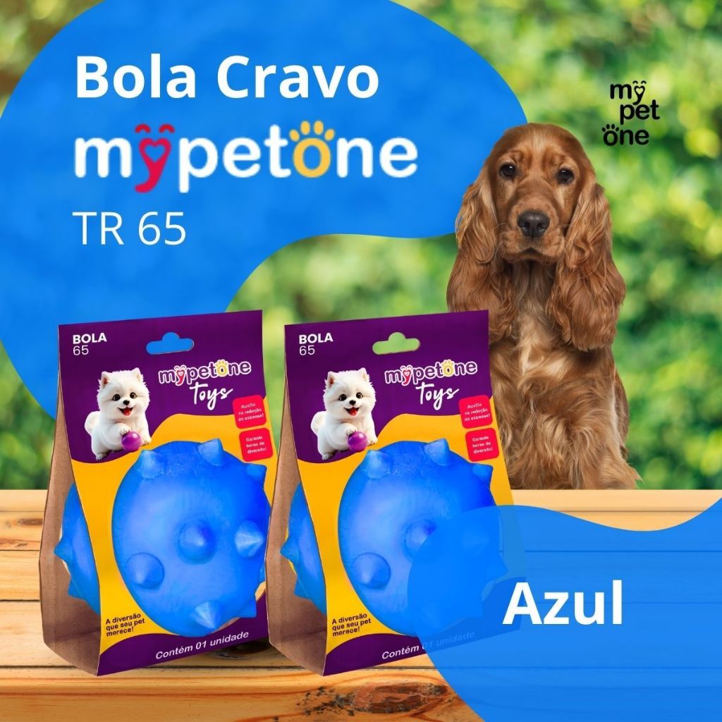 2 Bola Cravo Maciça Brinquedo Resistente para Cachorros 6,5cm - Mypetone - Azul