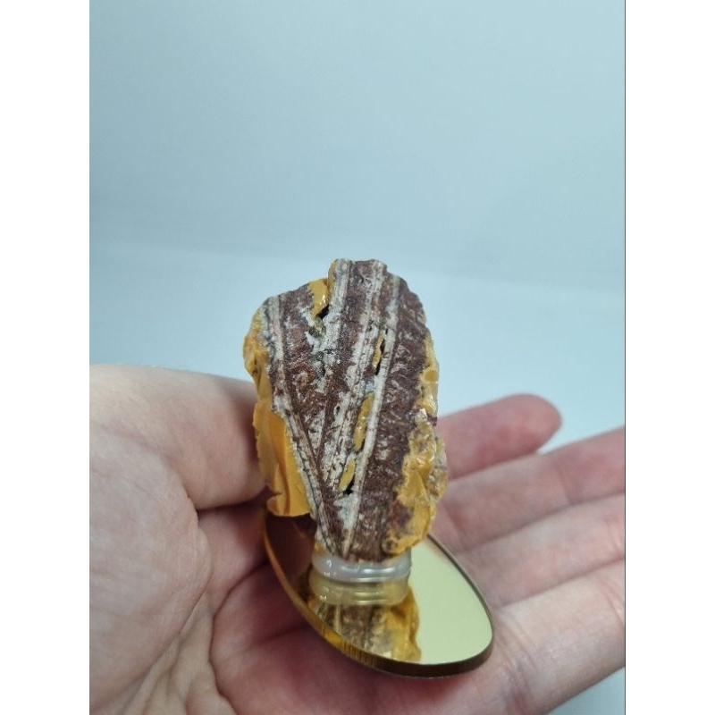 Pedra natural bruta 31g - Jaspe Wave com calcedónia (estabilidade, proteção, força interior)