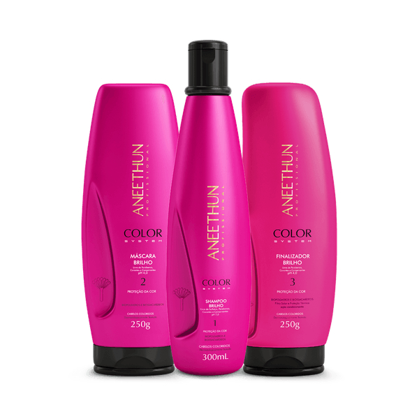 Aneethun Kit 3 Itens Color System Shampoo 300ml + Máscara 250g + Finalizador 250g - Brilho Extremo