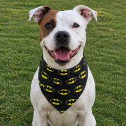 Bandana pet super heróis dupla face homem aranha super man hulk mulher maravilha thor batman- cachorro, gato, cão