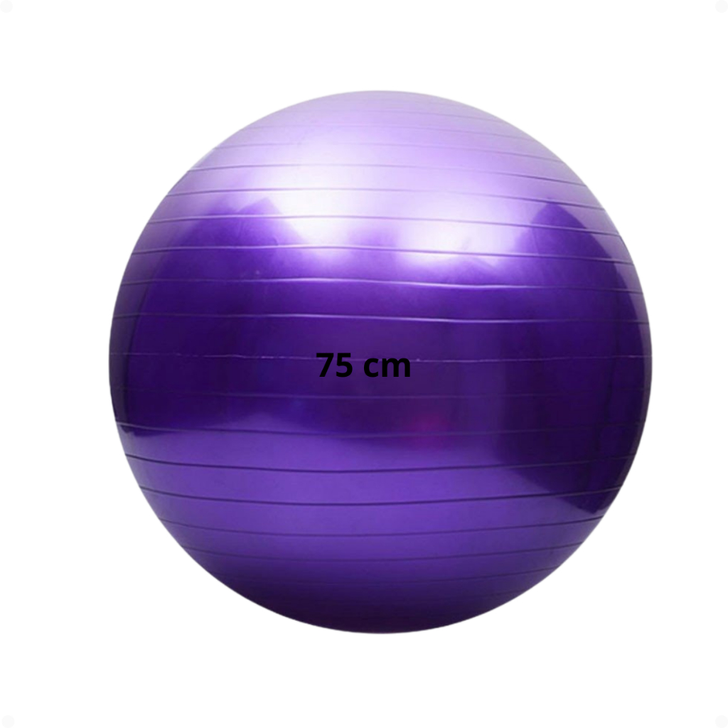 Bola Pilates Yoga Abdominal Exercício 75cm Ginástica Suíça Anti-Estouro Fisioterapia Treino Alongame