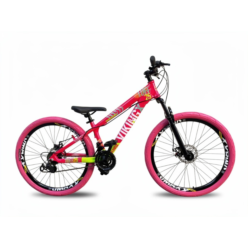 Bicicleta VikingX Tuff25 21V Freio a Disco Pneu Flame Rosa - Rosa Verde