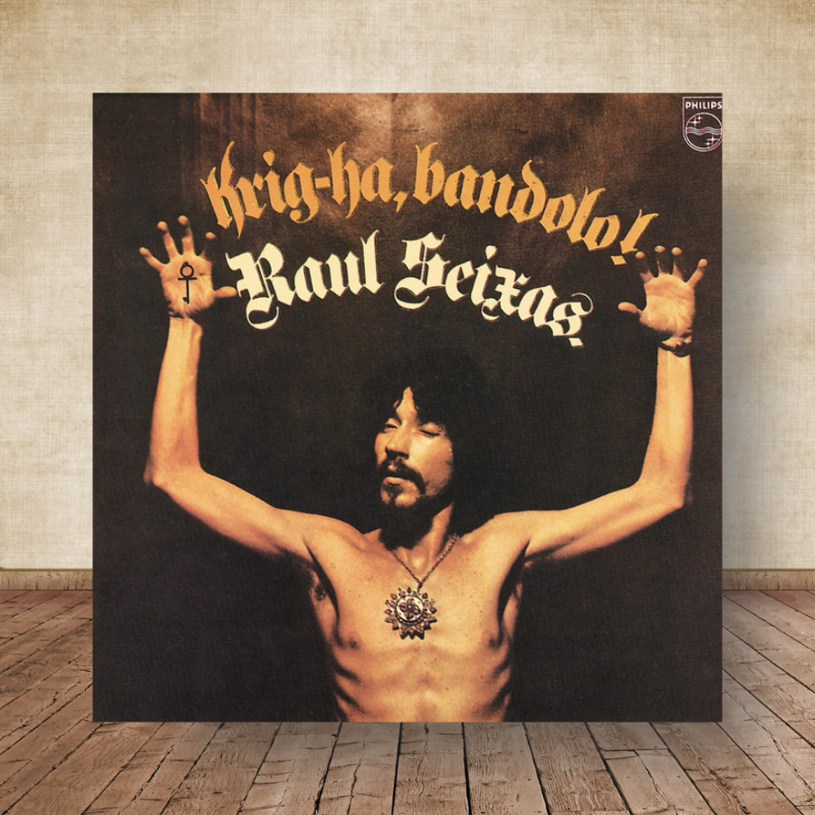 Quadro Placa Decorativa Raul Seixas Albuns de Mpb rock LP Disco decoração 03