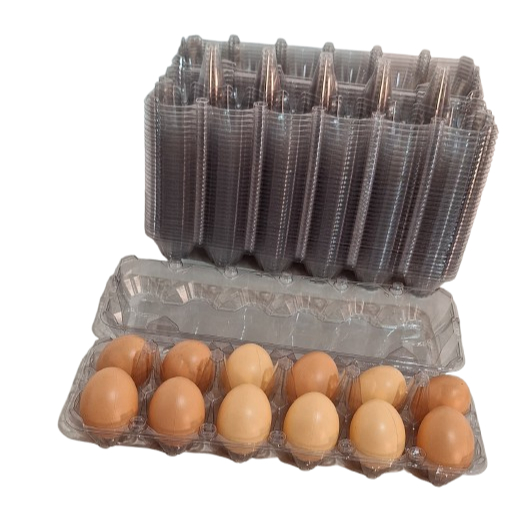 Embalagem 10 e 12 Ovos de Galinha 50/100/200
