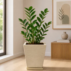 Vaso para Planta Escovado Quadrado com Prato Decorativo Em Polietileno