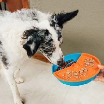 Comedouro Interativo Lento e Educativo Com Diferentes Texturas - Para Cães e Gatos - Para Cachorros - Gira Gira - Petiko