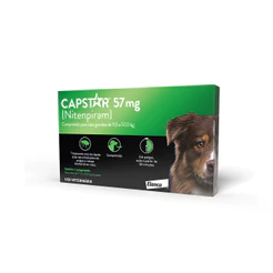 Capstar 57 Mg: Antipulgas Para Cães De 11,4 A 57 Kg 1 Comp